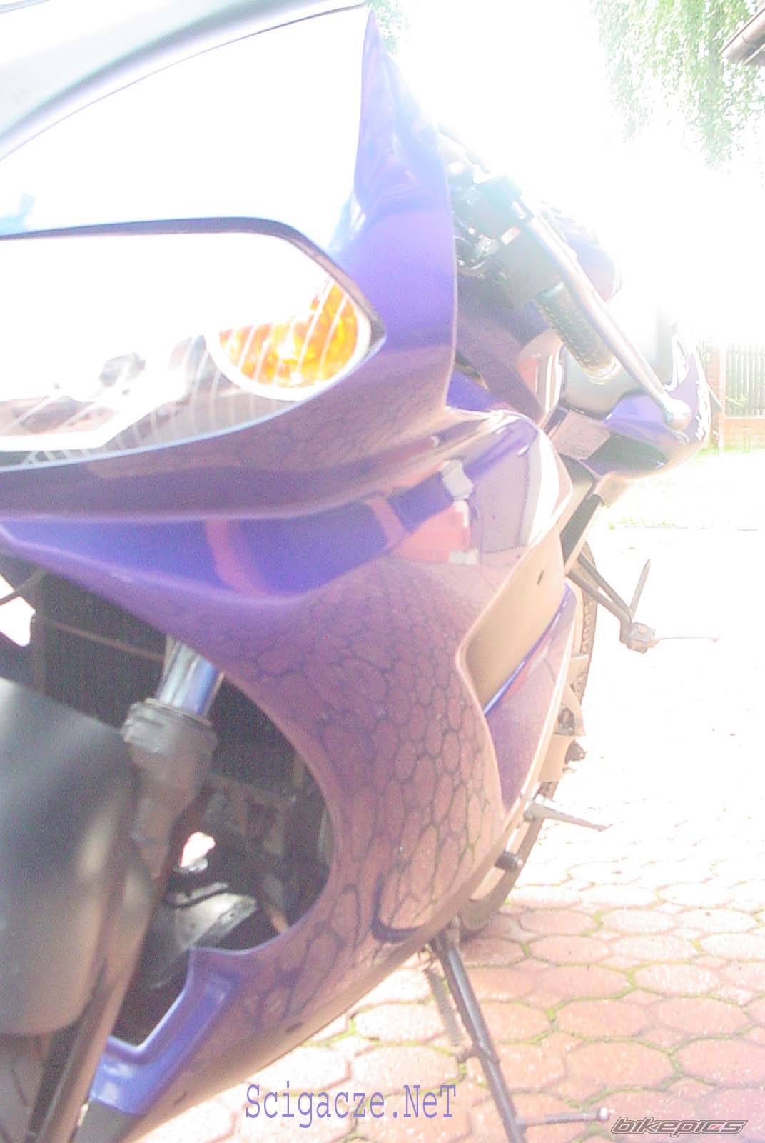 Photo 469644