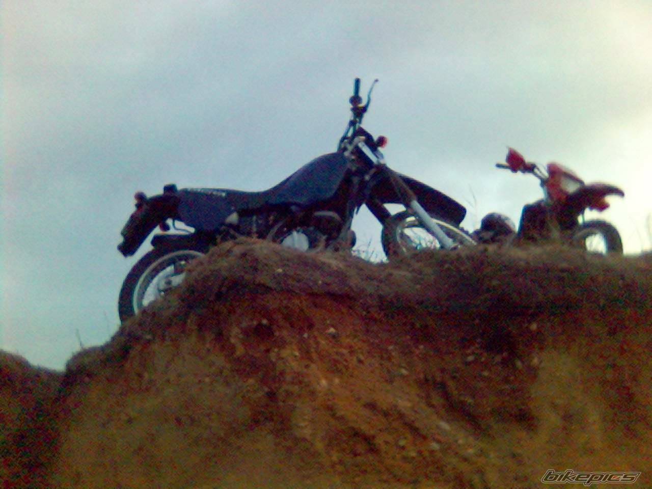 Photo 469710