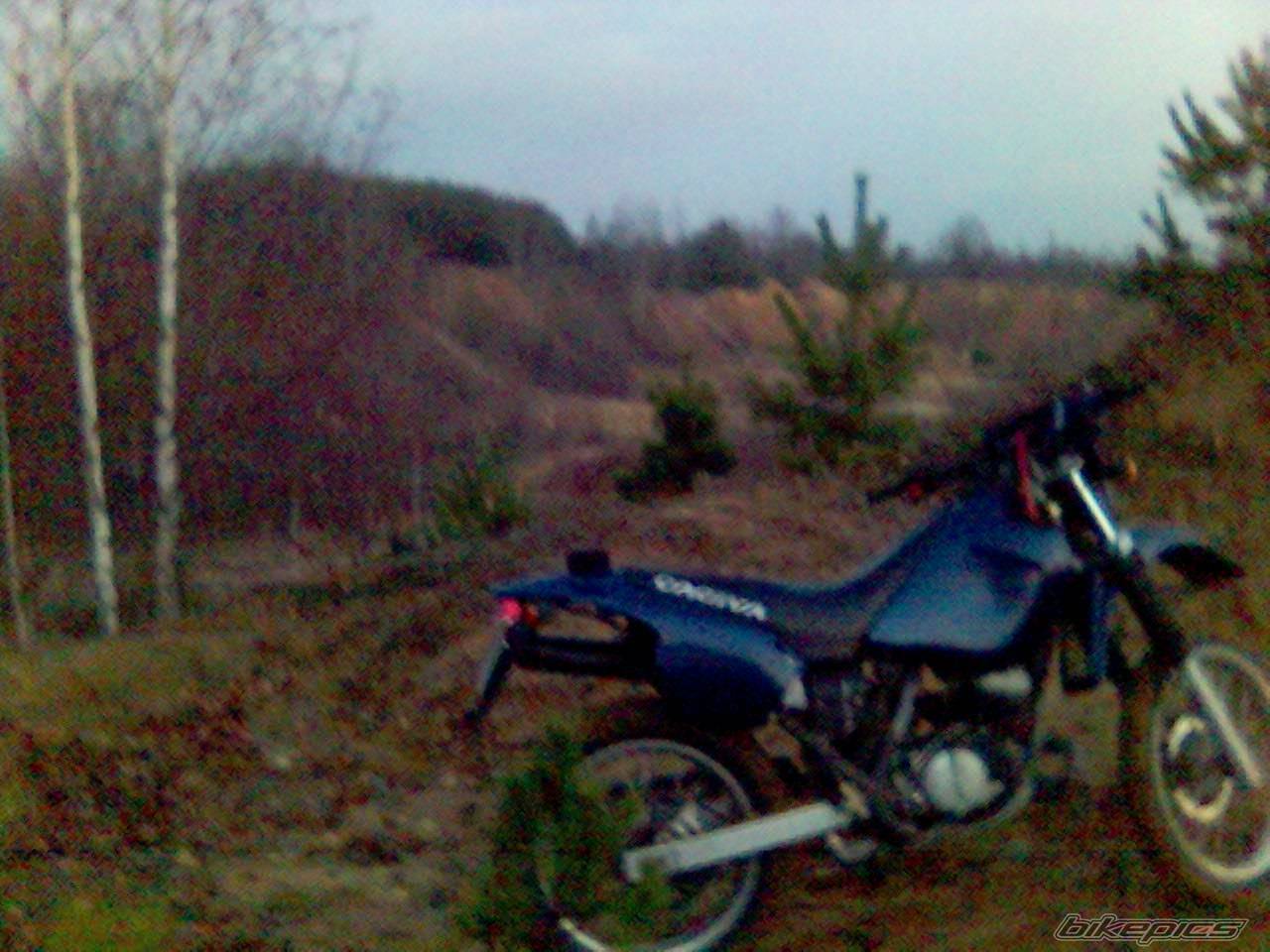 Photo 469711