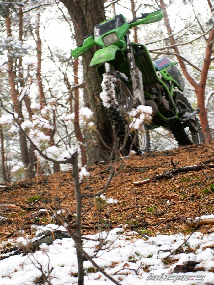 Bike Photo 469713