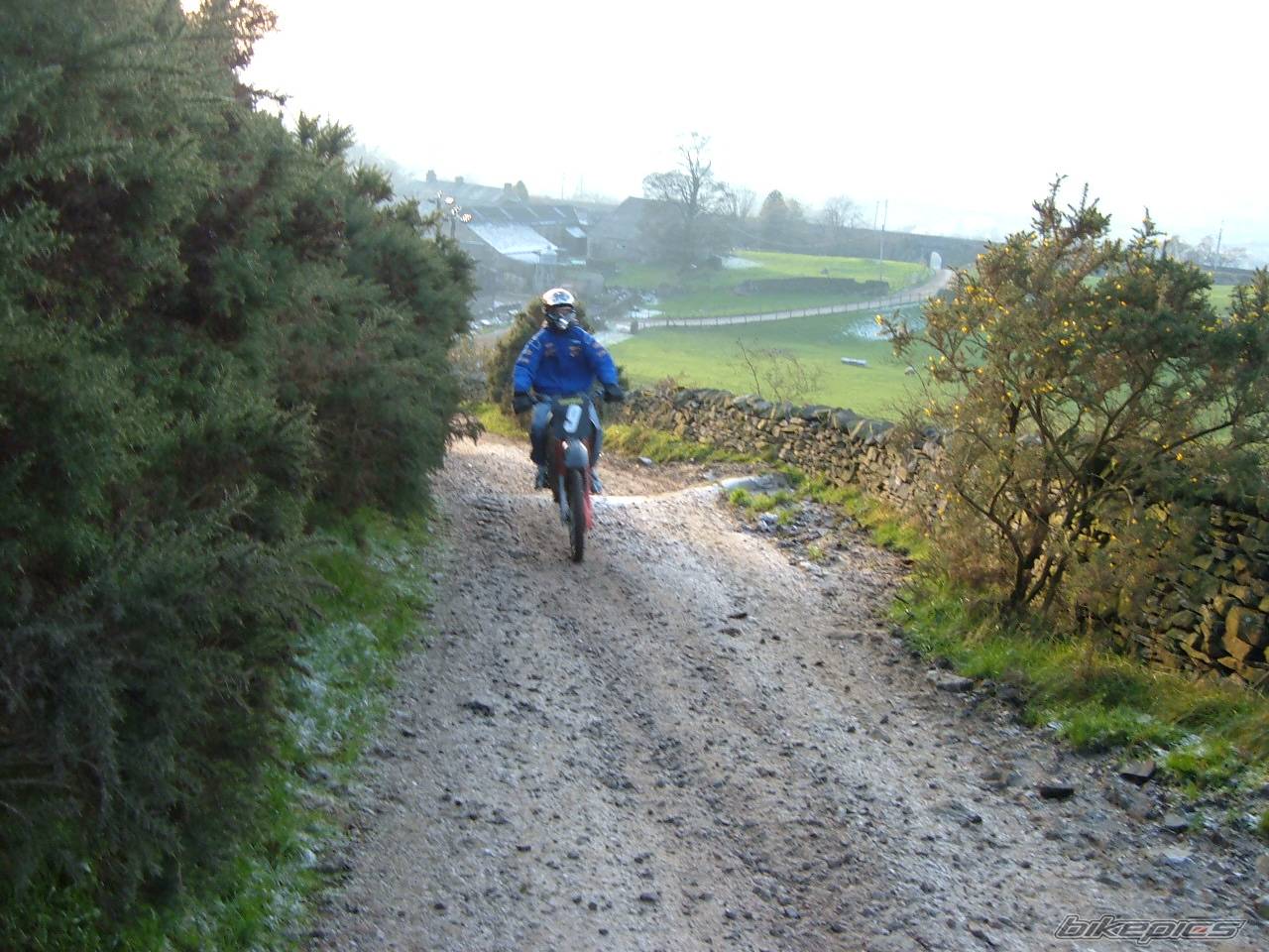 Bike Photo 469754