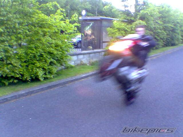 Photo 469756