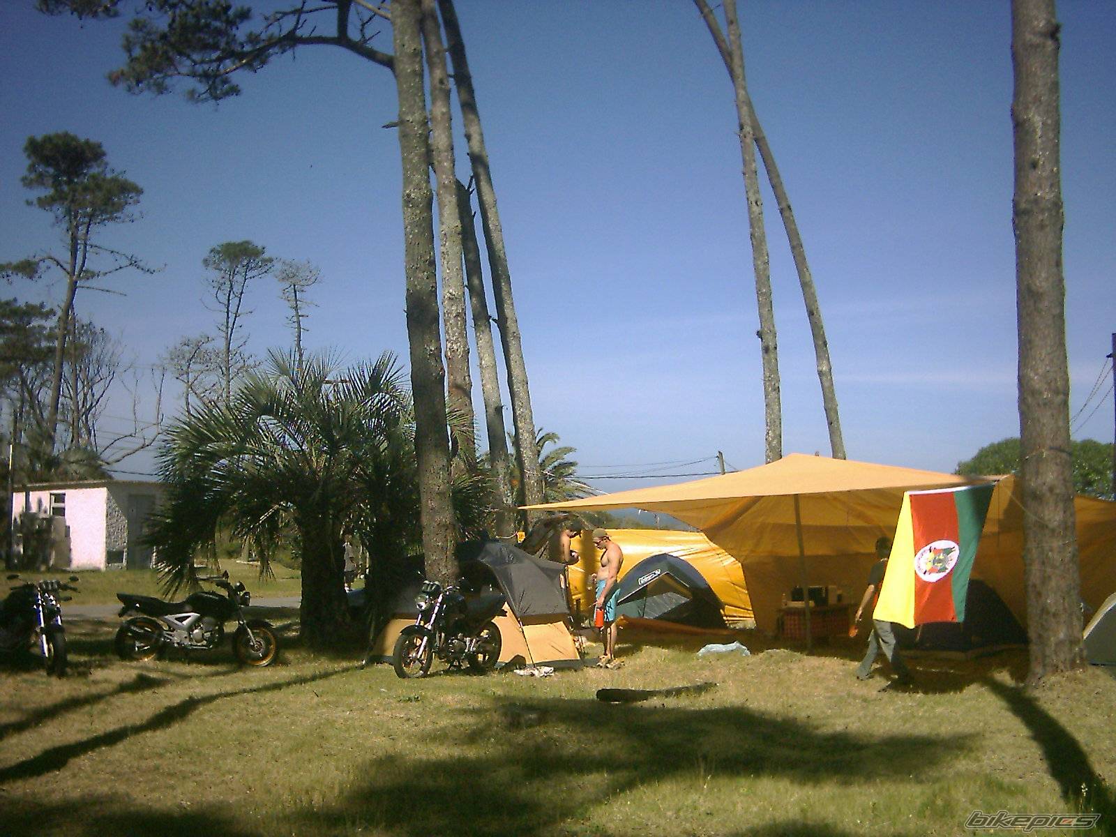 Photo 469767