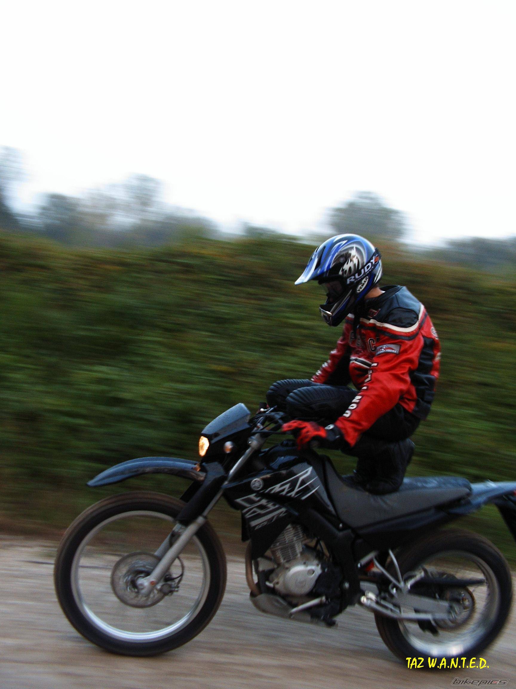 Photo 469778