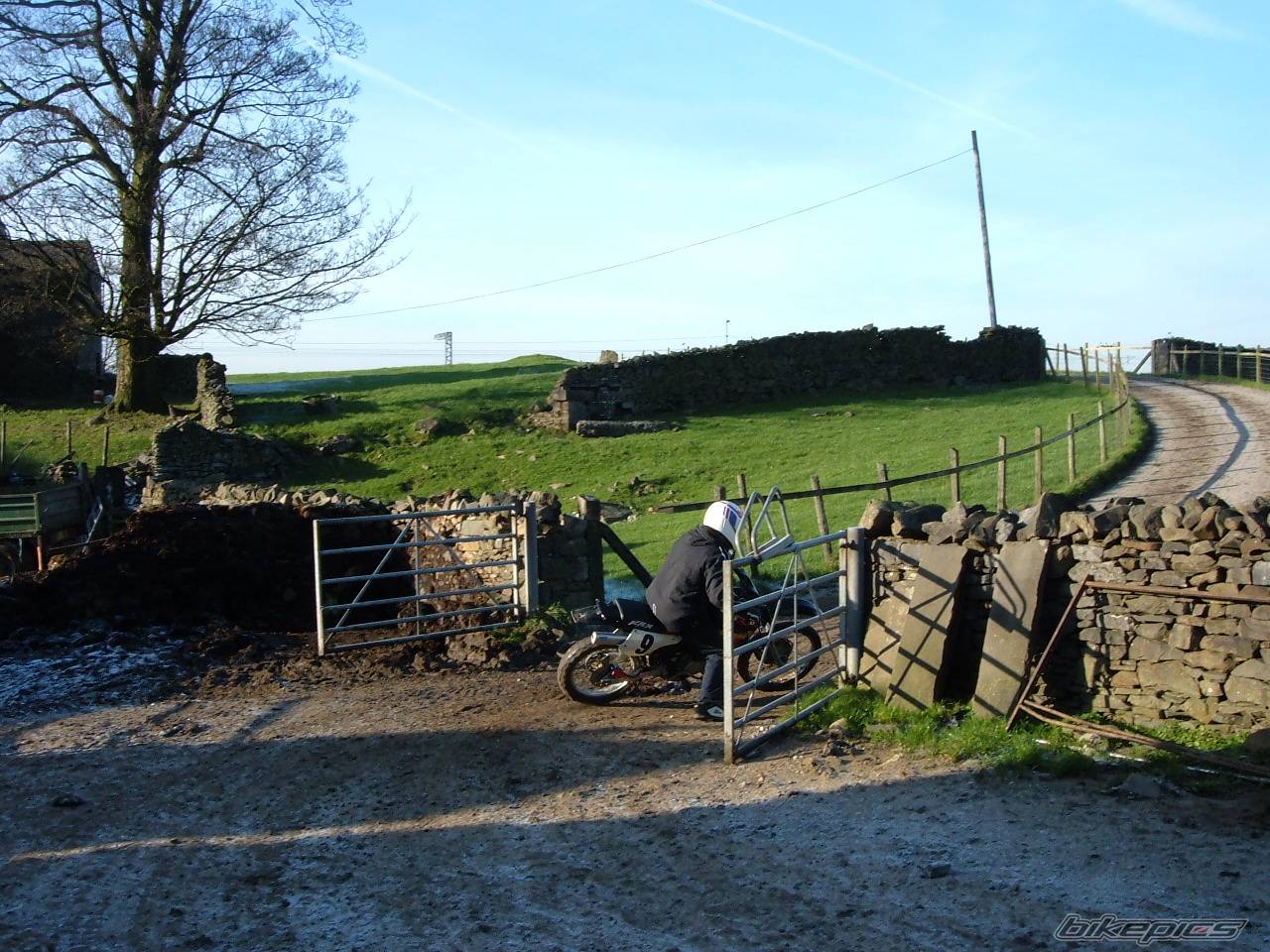 Bike Photo 469842