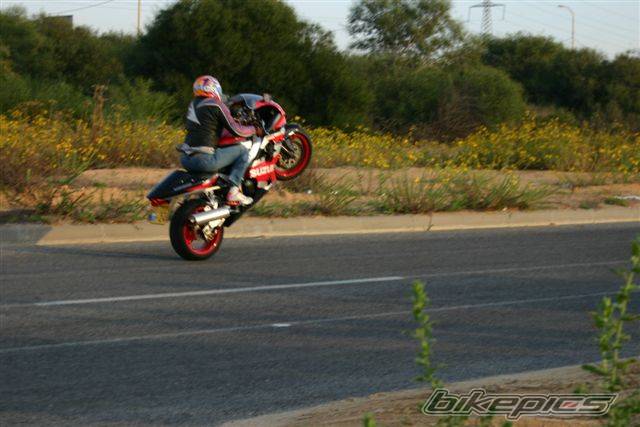 Bike Photo 469892