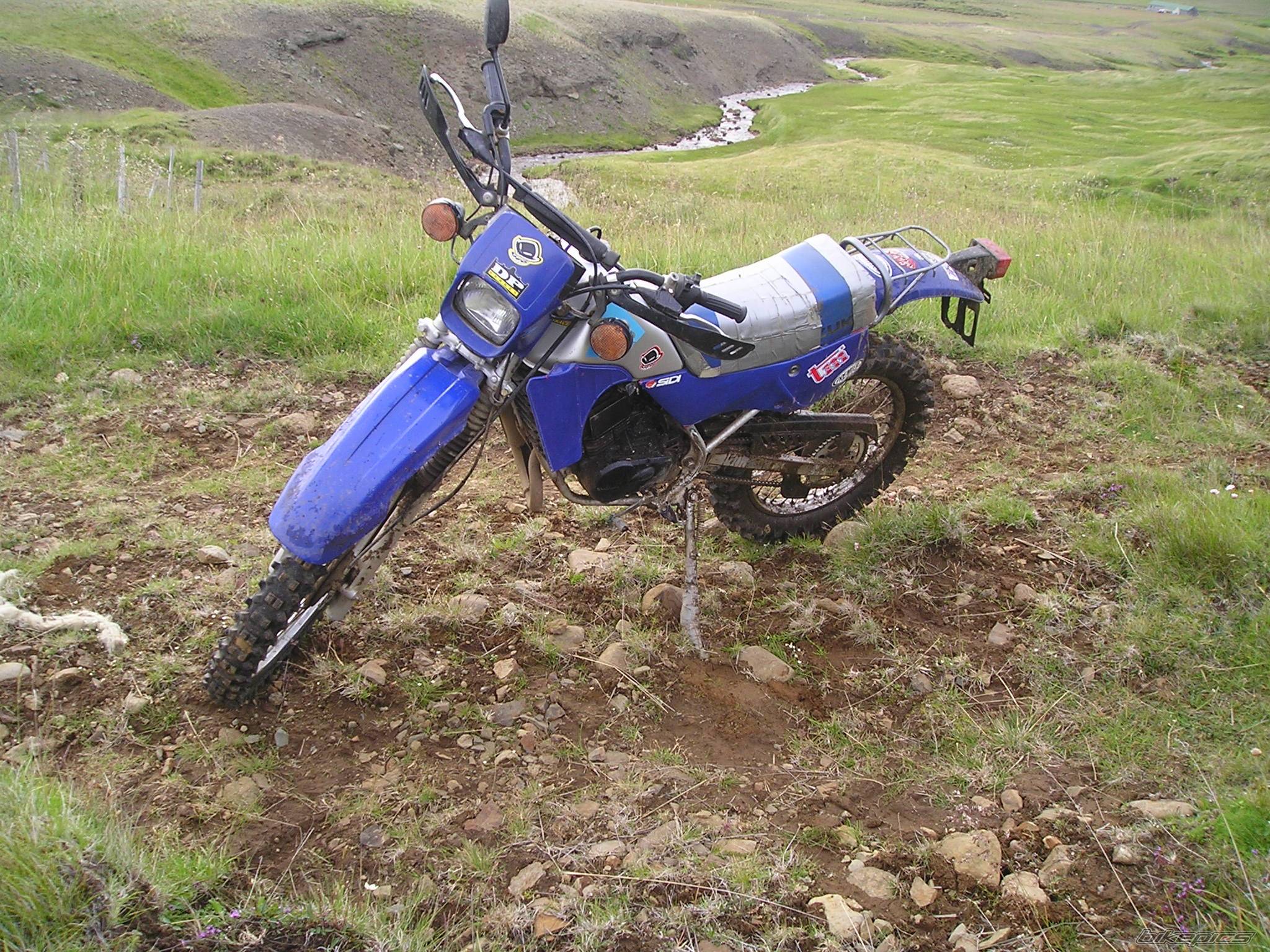 Photo 470049
