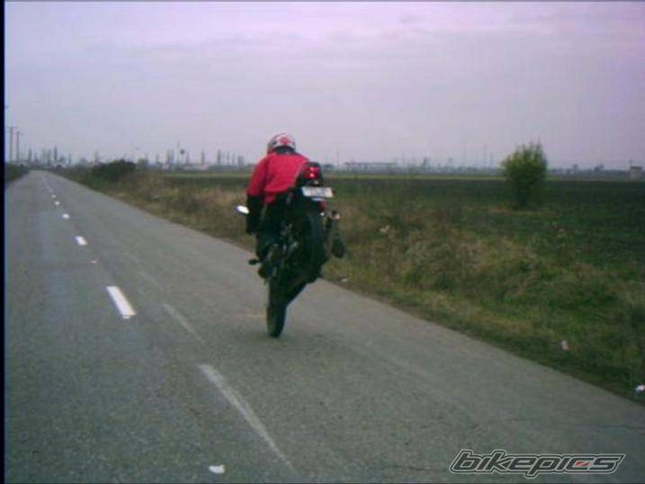 Photo 470051