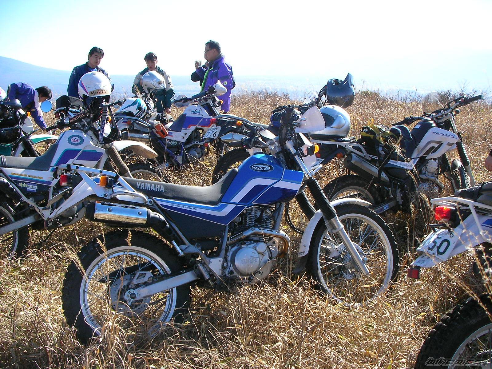 Photo 470169