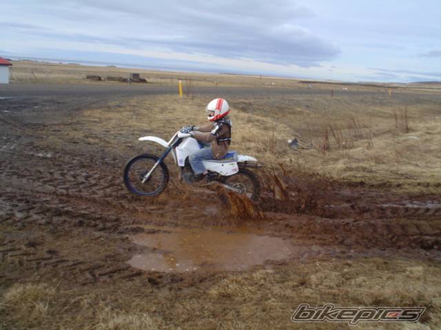 Photo 470206