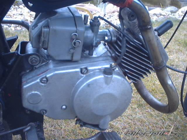 Photo 470256