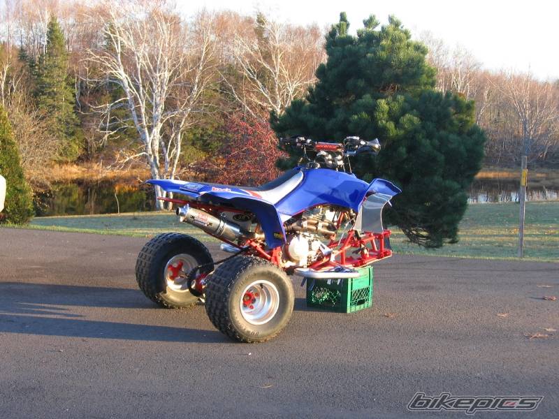 Photo 470275
