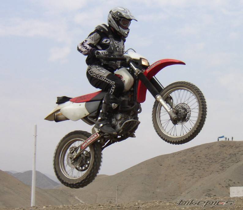 Photo 47029