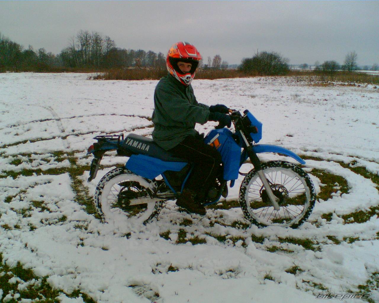 Photo 470370