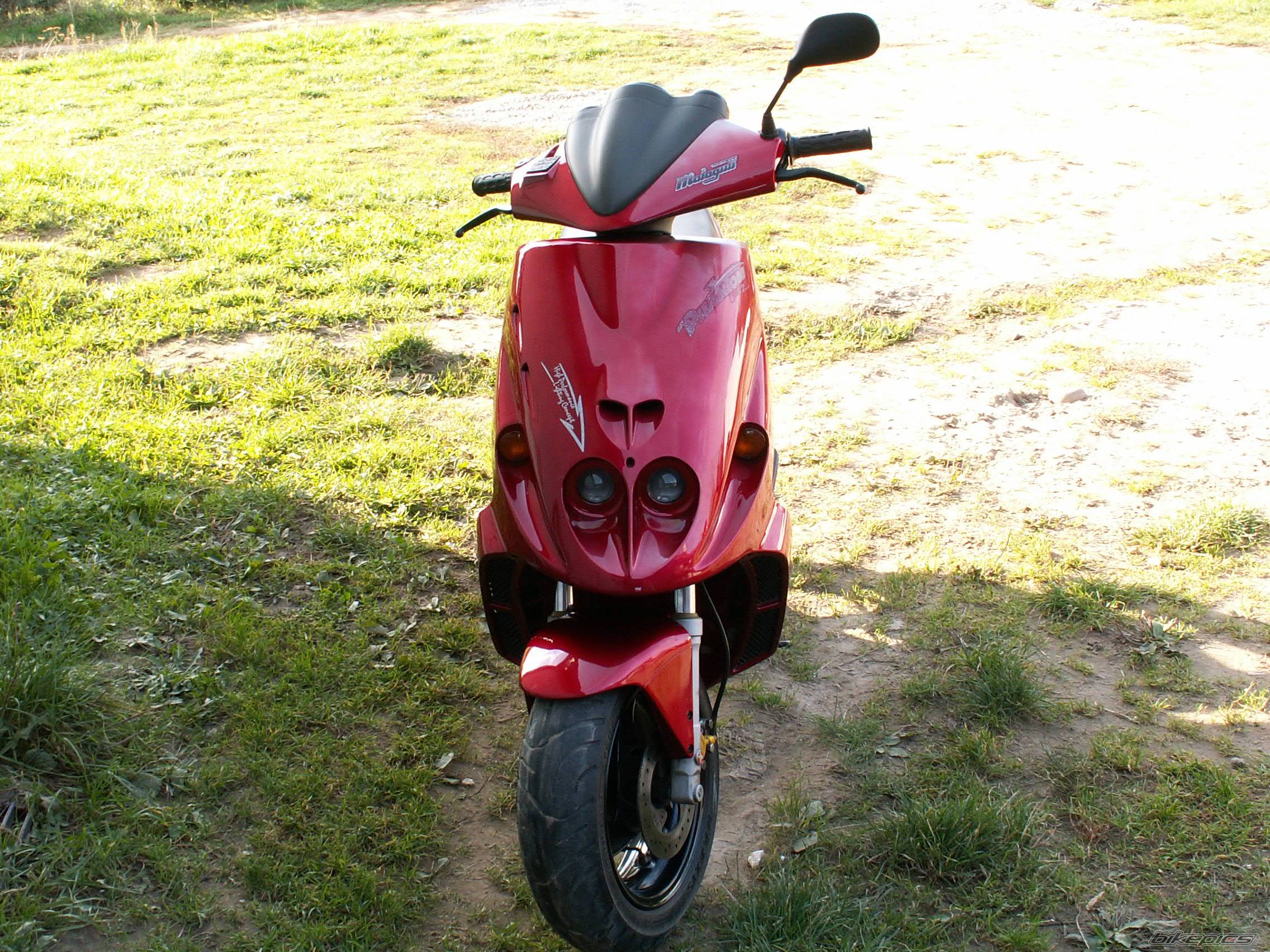 Photo 470373