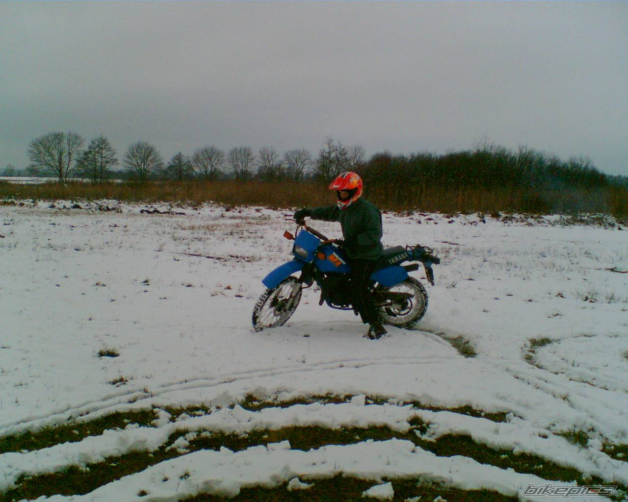 Bike Photo 470377
