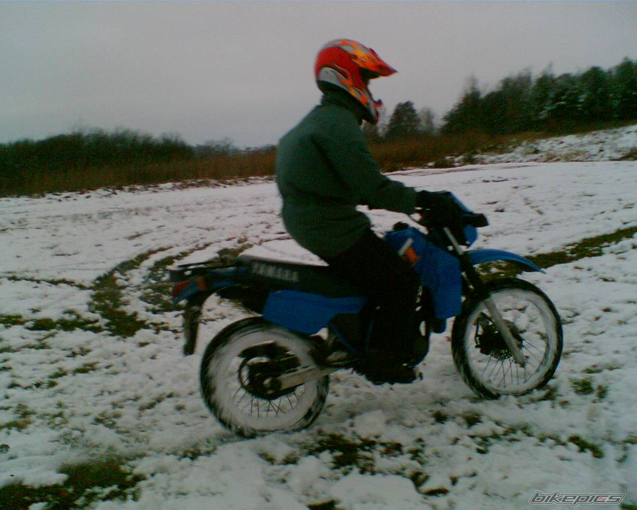 Photo 470385