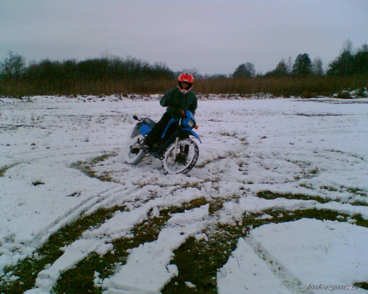 Photo 470396