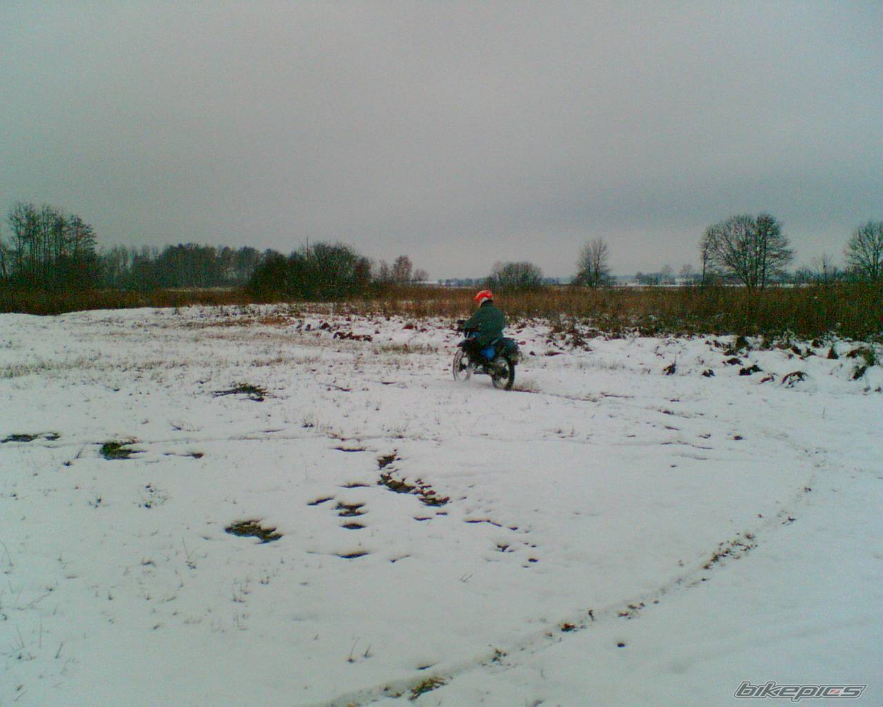 Photo 470398