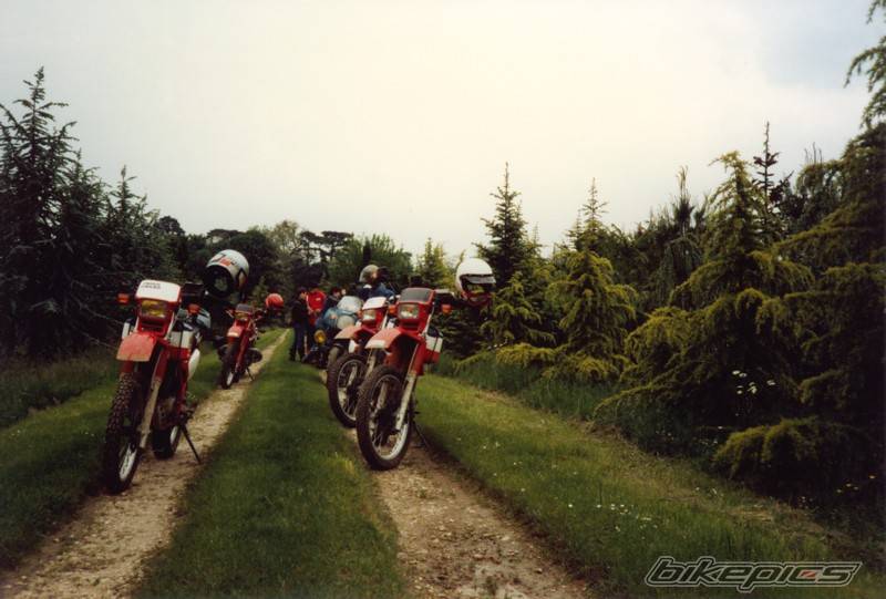 Bike Photo 470408