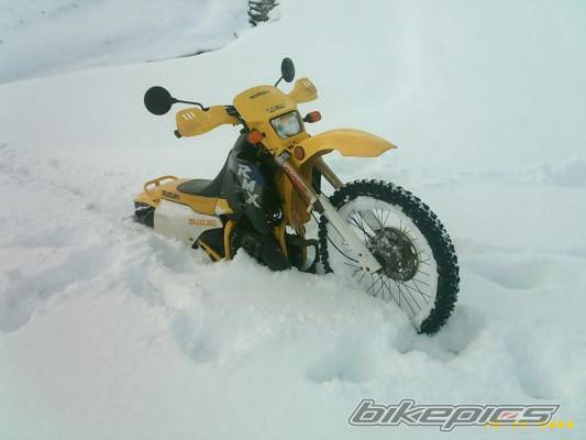 Bike Photo 470505