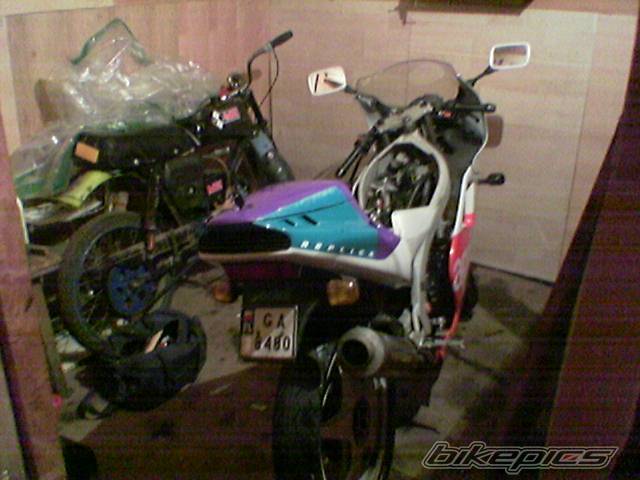 Photo 470516
