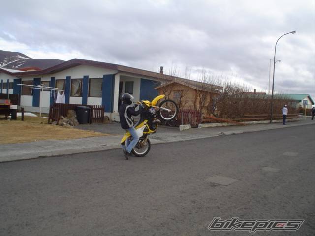 Photo 470539