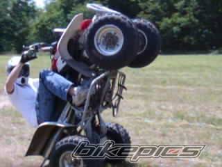 Photo 470614