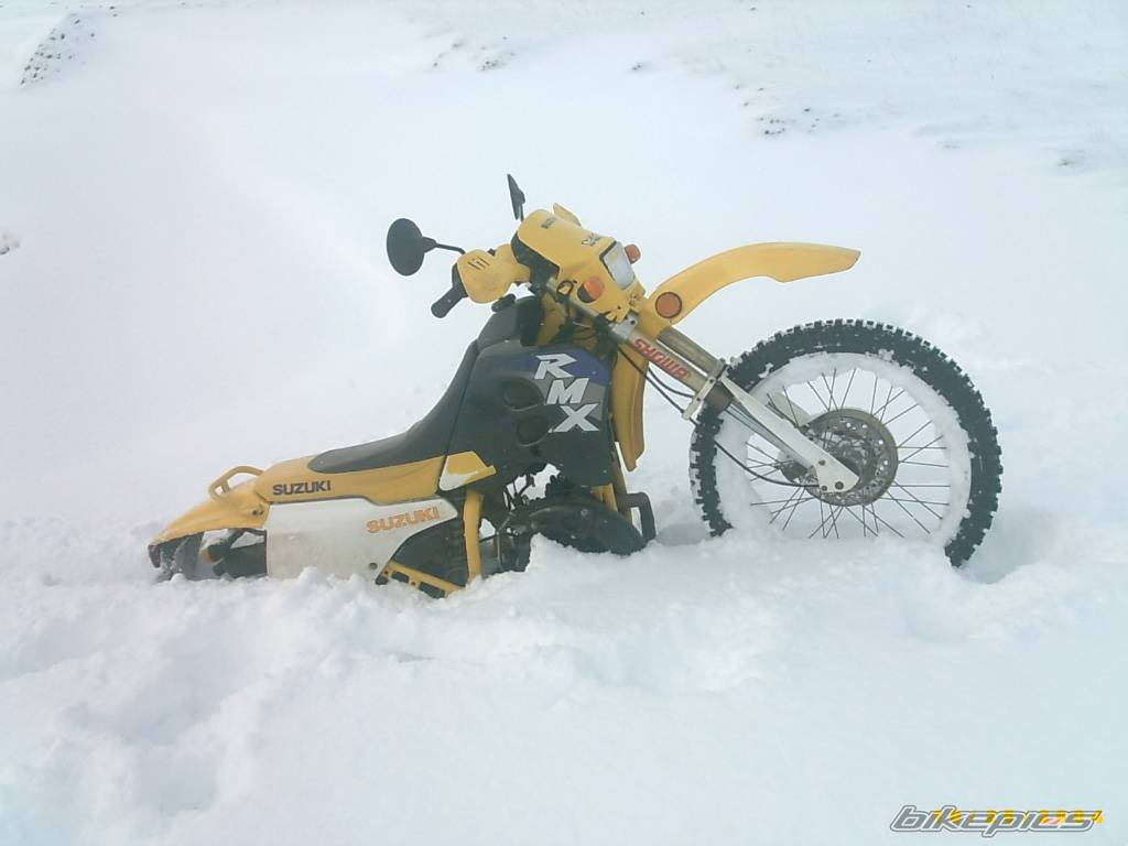 Photo 470638