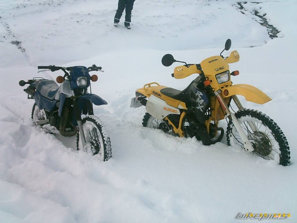 Photo 470641
