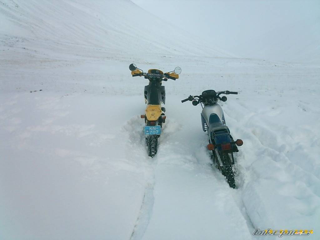Photo 470643