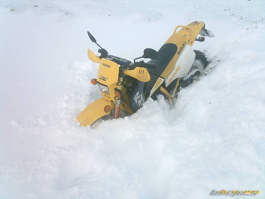 Bike Photo 470644