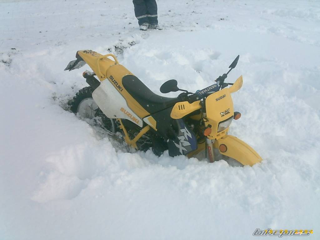 Photo 470647