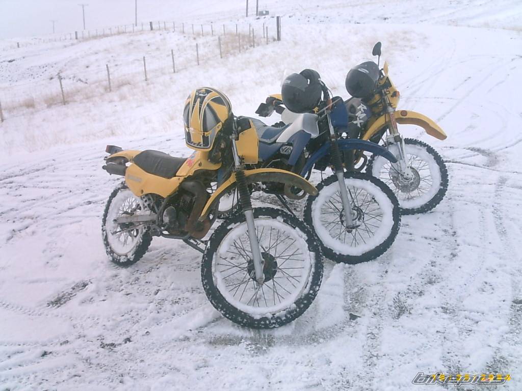 Photo 470671