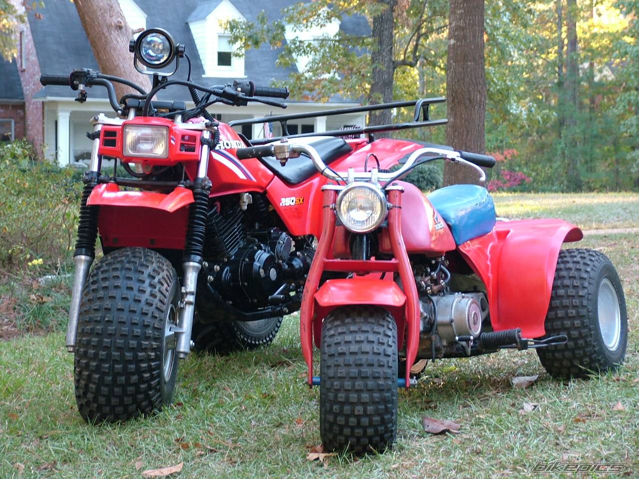 Photo 470741