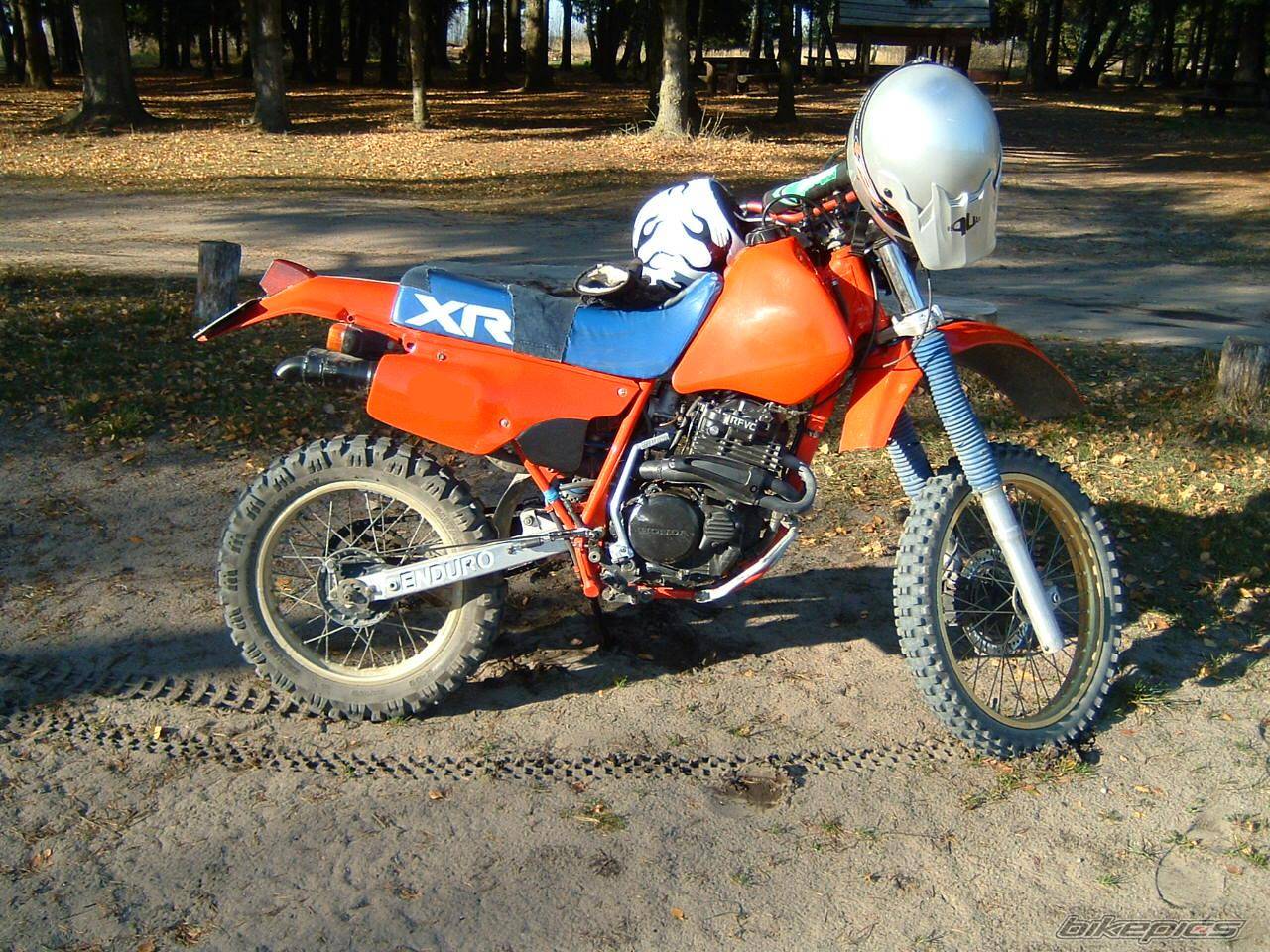 Photo 470767