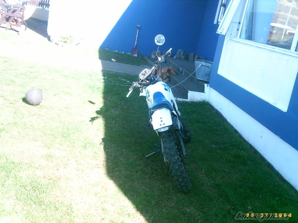 Photo 470820