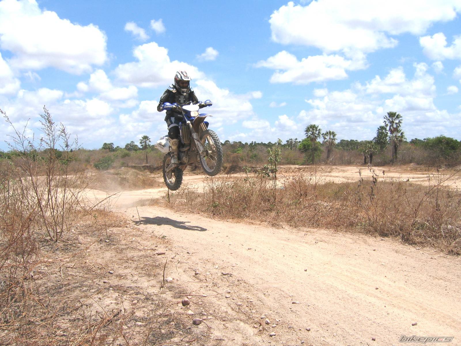 Photo 470897