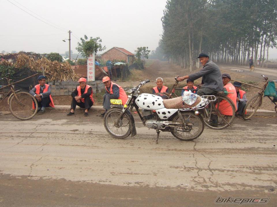 Photo 470953