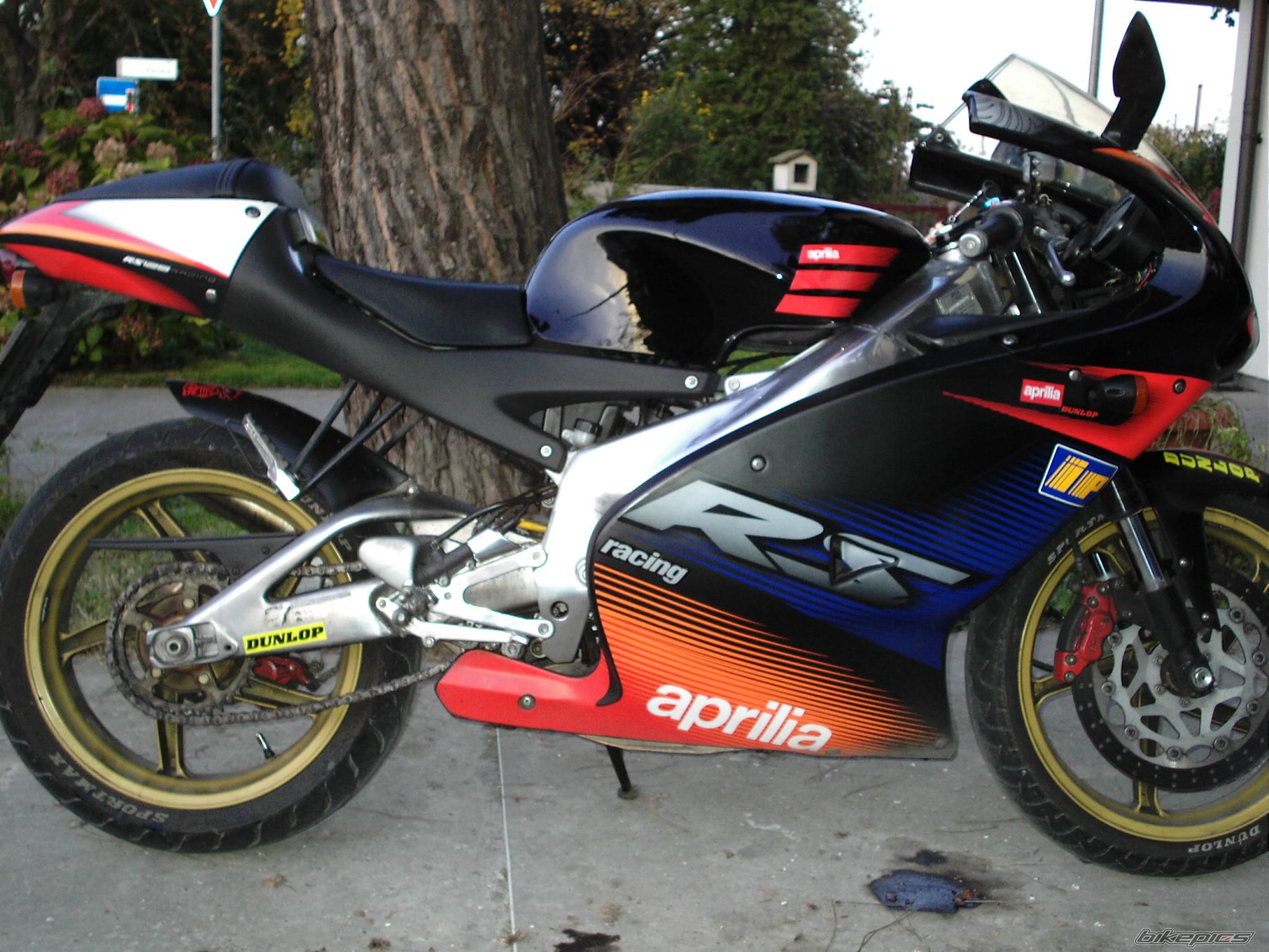Photo 470993