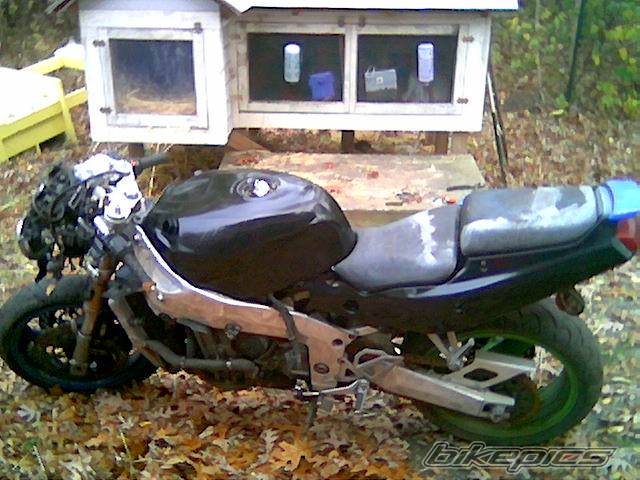 Photo 471068