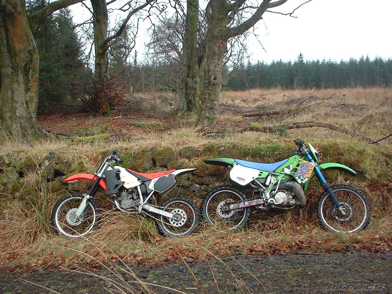 Photo 471089