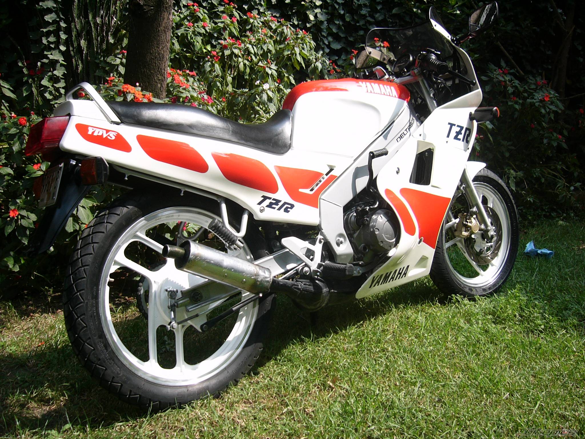 Bike Photo 471115
