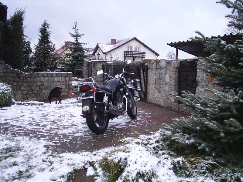 Photo 471242