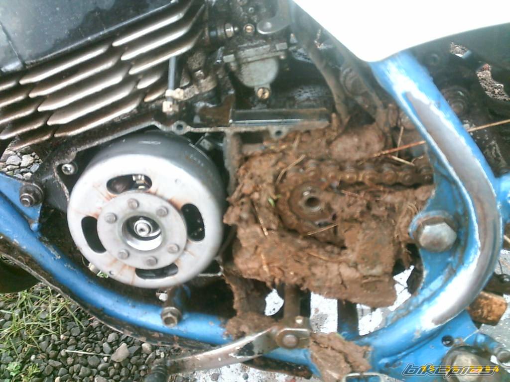Photo 471269