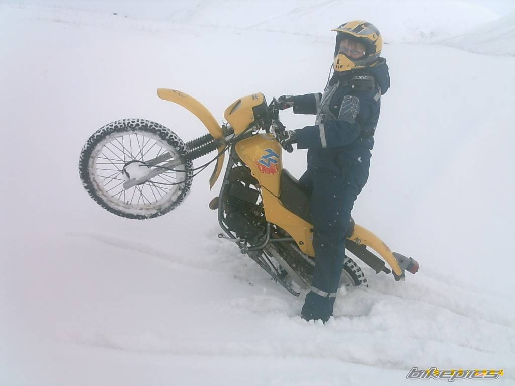 Photo 471284