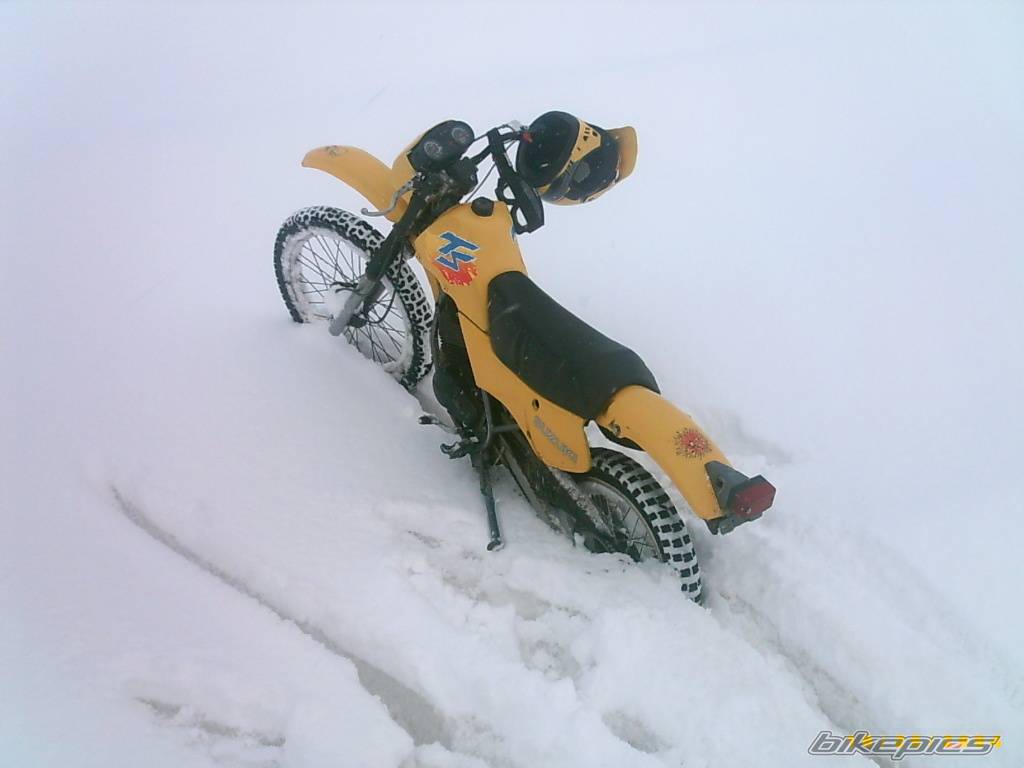 Photo 471288