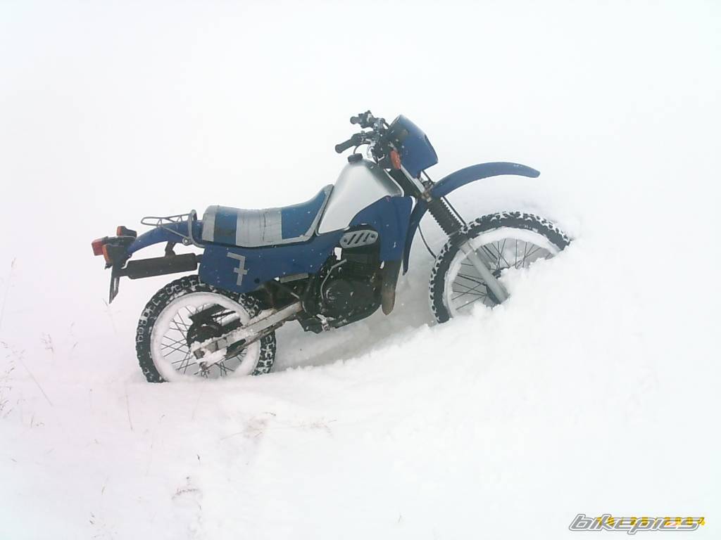Bike Photo 471325