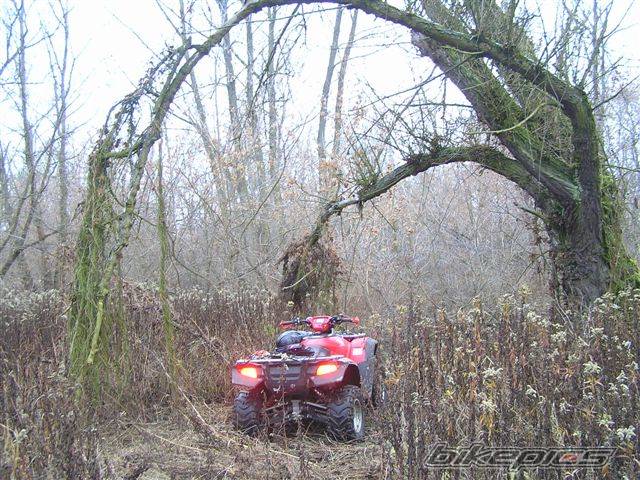 Photo 471442