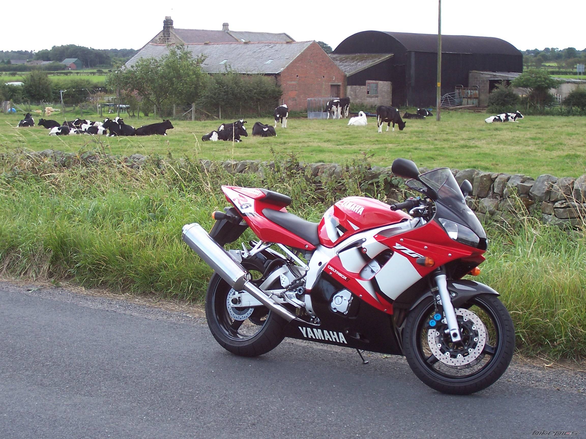 Bike Photo 472016